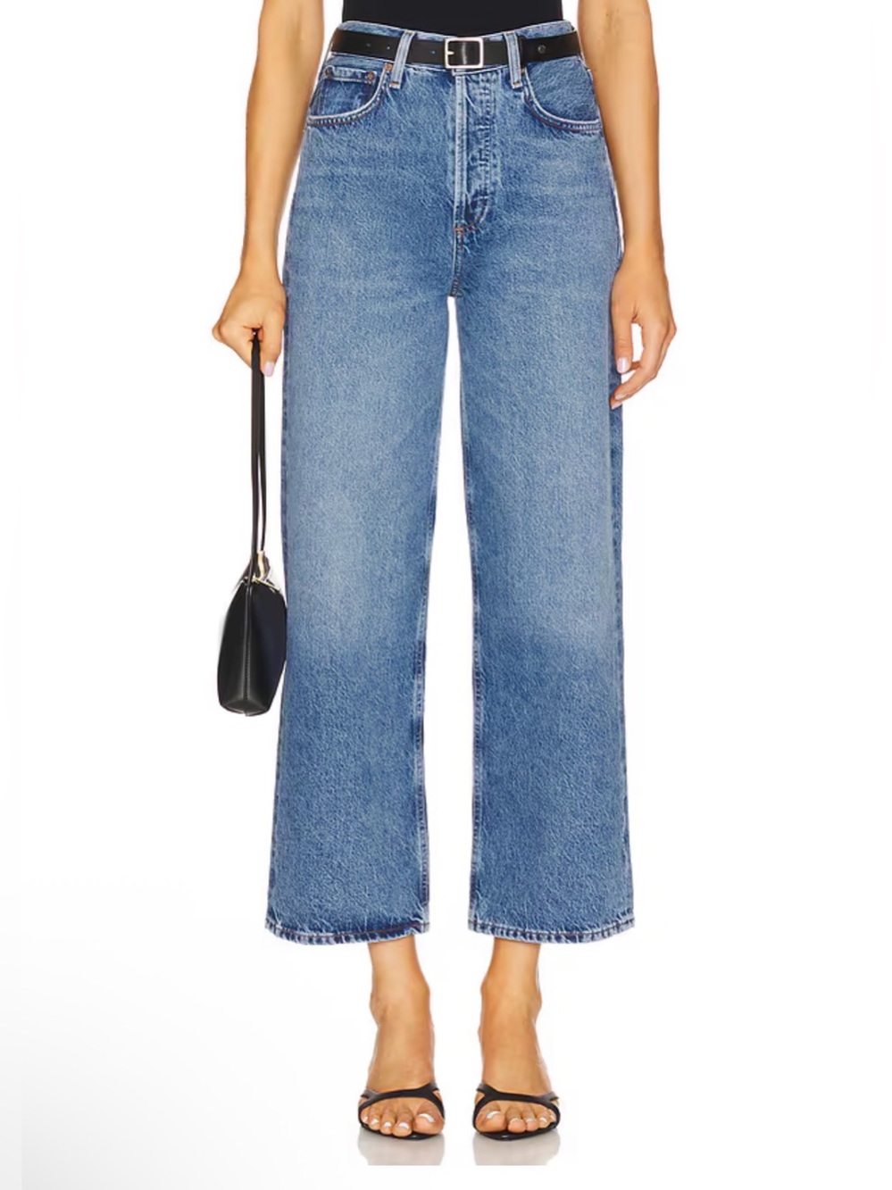 ▪️NWT Ren High Rise Wide Leg Jeans in Shrine AGOLDE 31
